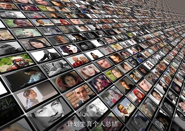 计划生育个人总结