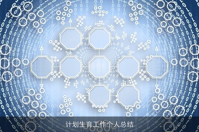 计划生育工作个人总结