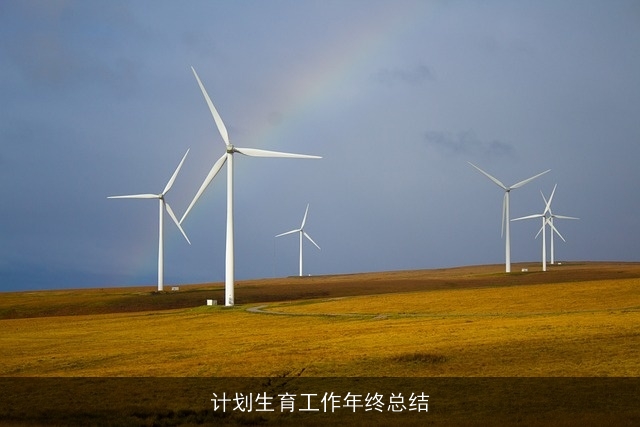 计划生育工作年终总结