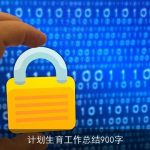 计划生育工作总结900字