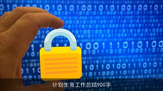 计划生育工作总结900字