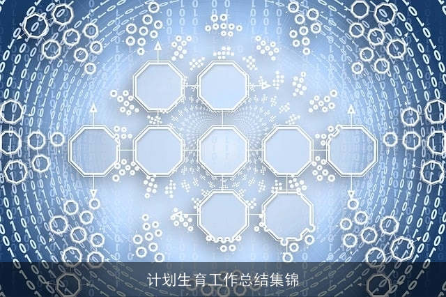 计划生育工作总结集锦