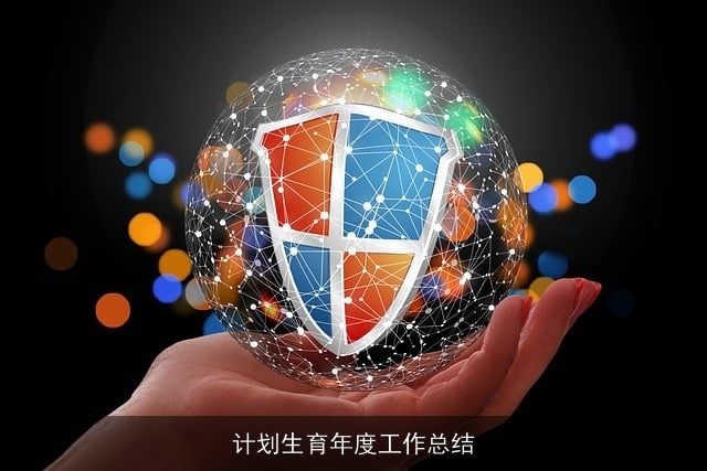 计划生育年度工作总结