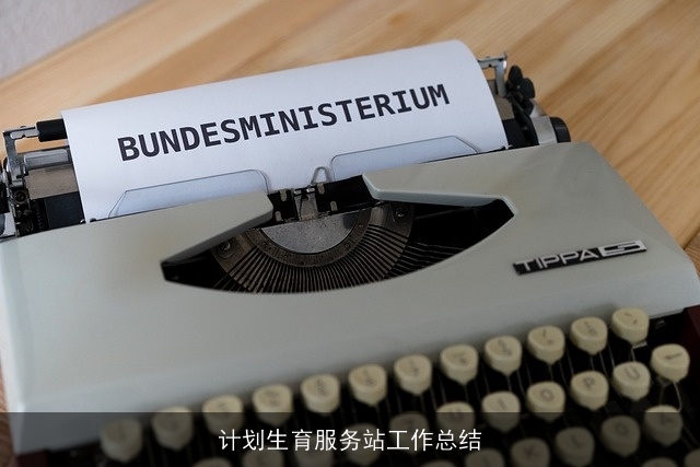 计划生育服务站工作总结