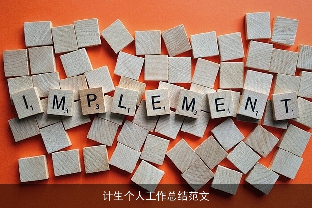 计生个人工作总结范文