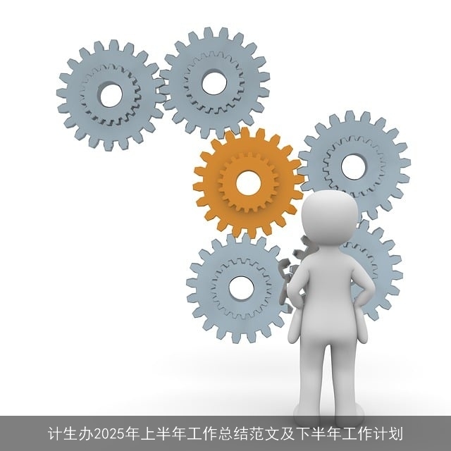 计生办2025年上半年工作总结范文及下半年工作计划