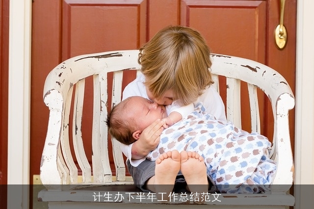 计生办下半年工作总结范文