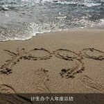 计生办个人年度总结