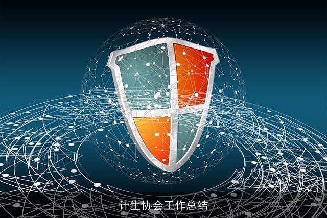 计生协会工作总结