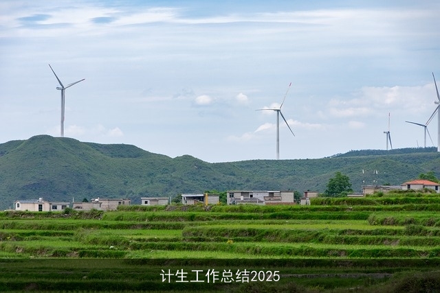 计生工作总结2025