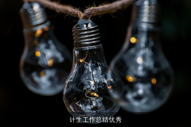 计生工作总结优秀