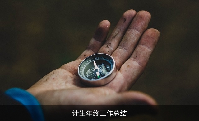 计生年终工作总结