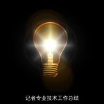 记者专业技术工作总结
