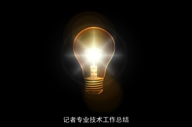 记者专业技术工作总结