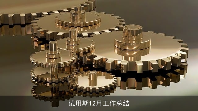 试用期12月工作总结