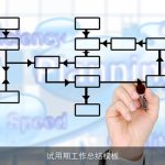 试用期工作总结模板