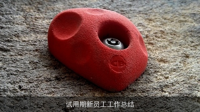 试用期新员工工作总结