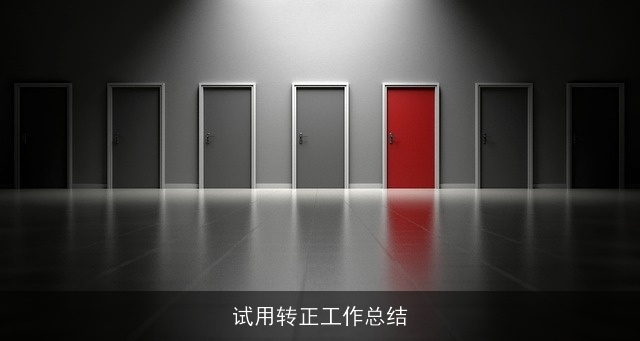试用转正工作总结
