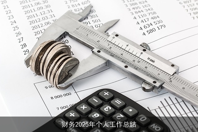 财务2025年个人工作总结