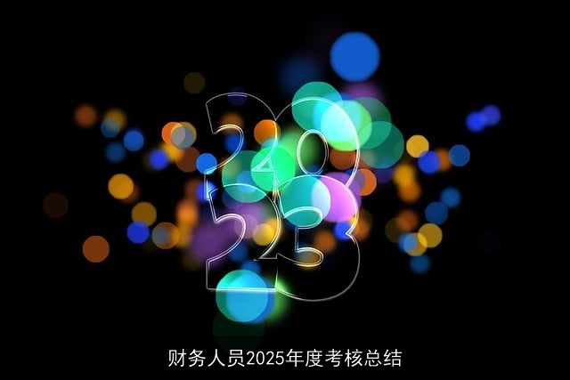 财务人员2025年度考核总结