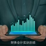 财务会计实训总结