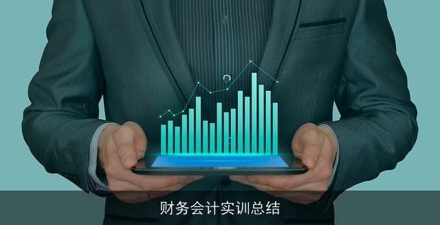 财务会计实训总结