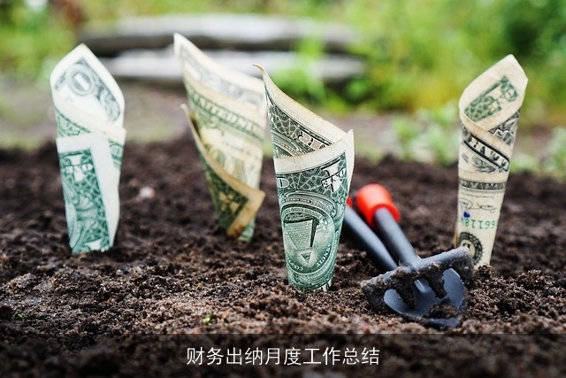 财务出纳月度工作总结