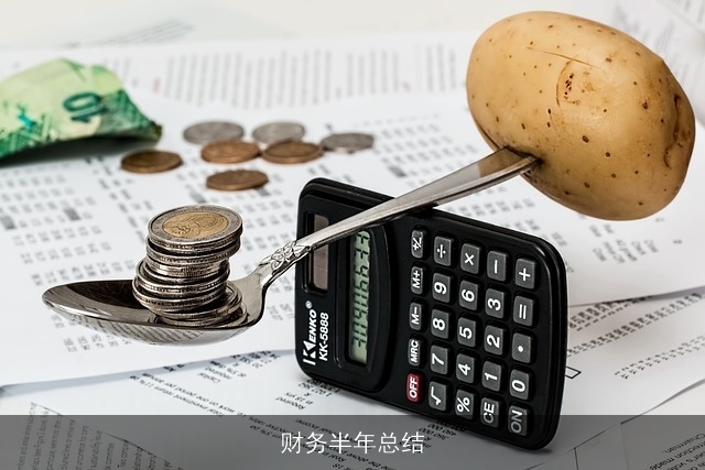 财务半年总结
