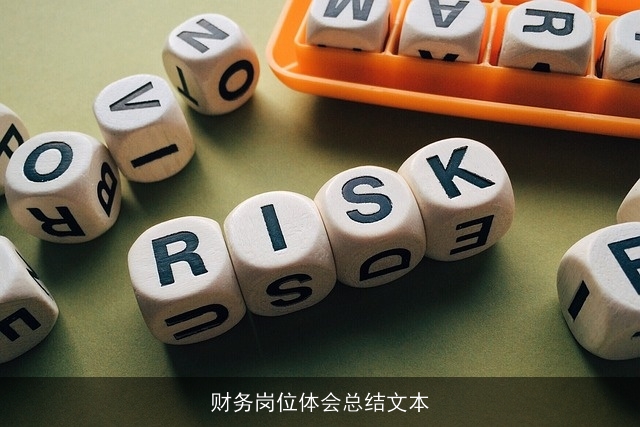 财务岗位体会总结文本