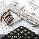 财务年度个人工作总结范文