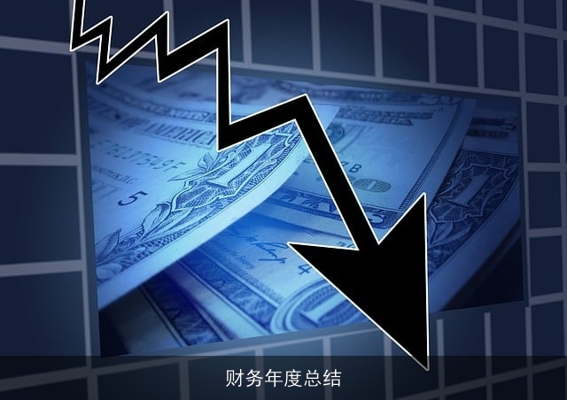 财务年度总结