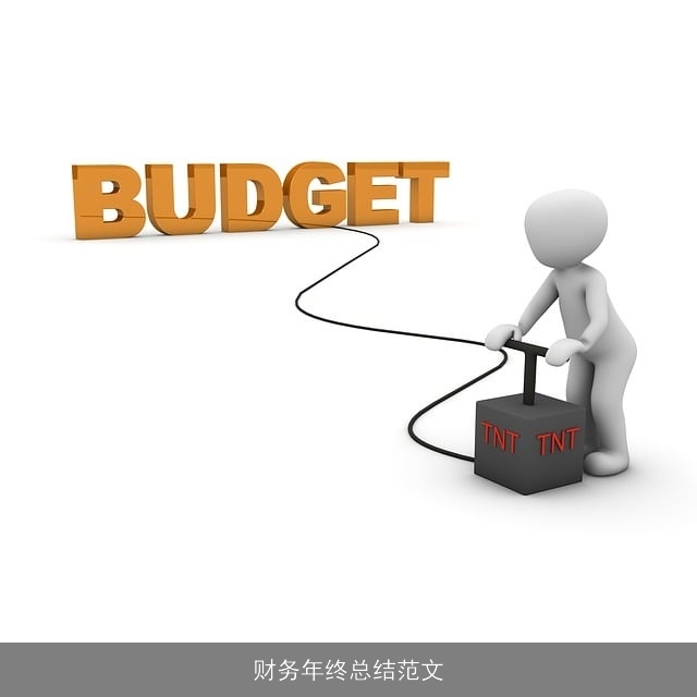 财务年终总结范文