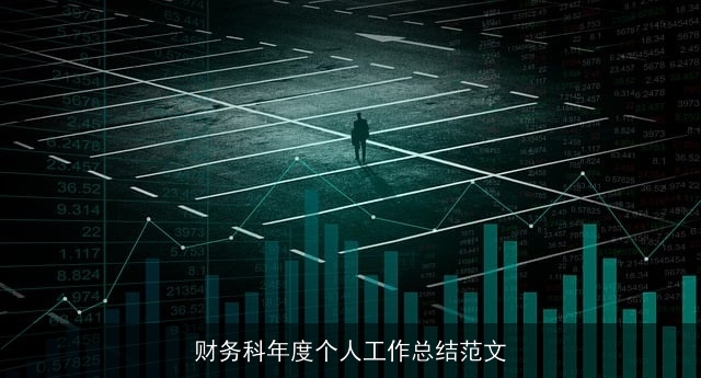 财务科年度个人工作总结范文
