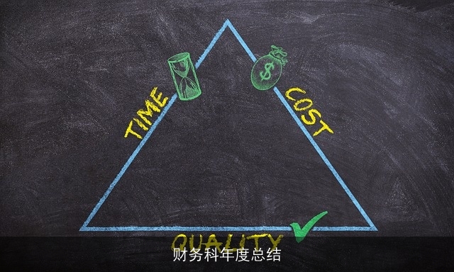 财务科年度总结
