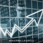 财务试用期的工作总结范文