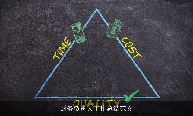 财务负责人工作总结范文