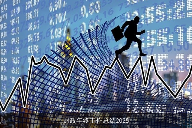 财政年终工作总结2025