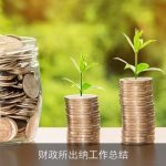 财政所出纳工作总结