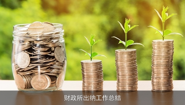 财政所出纳工作总结