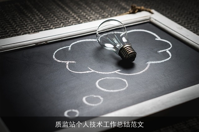 质监站个人技术工作总结范文