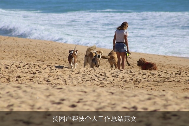 贫困户帮扶个人工作总结范文