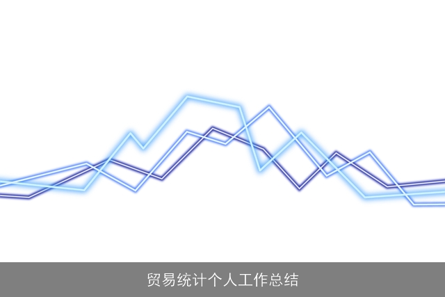 贸易统计个人工作总结