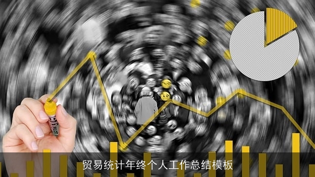 贸易统计年终个人工作总结模板