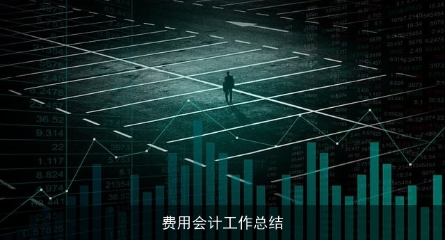 费用会计工作总结