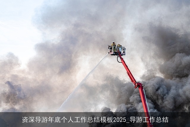 资深导游年底个人工作总结模板2025_导游工作总结
