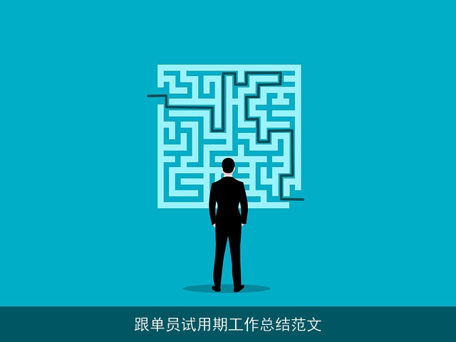 跟单员试用期工作总结范文