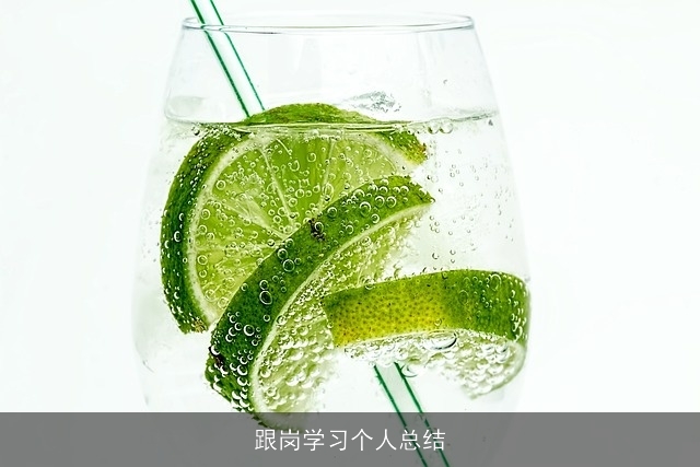 跟岗学习个人总结