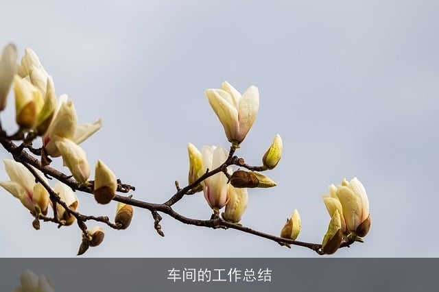 车间的工作总结