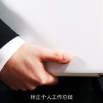 转正个人工作总结