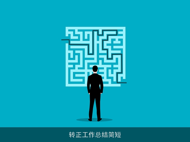 转正工作总结简短